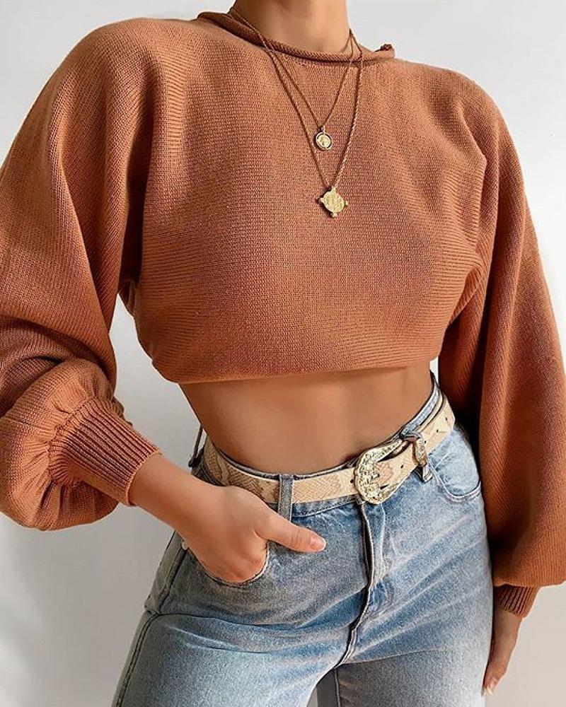 

Knit Lantern Sleeve Solid Loose Crop Top, Brown