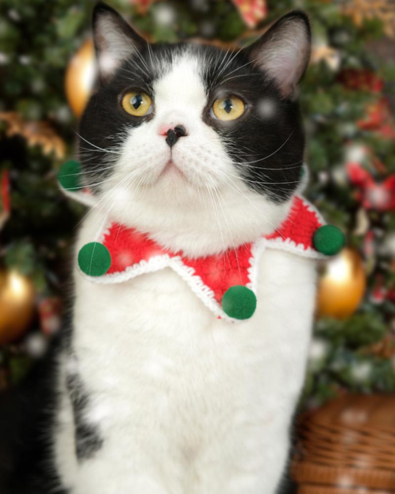 

Christmas Pom Pom Knit Cat Bib, Red
