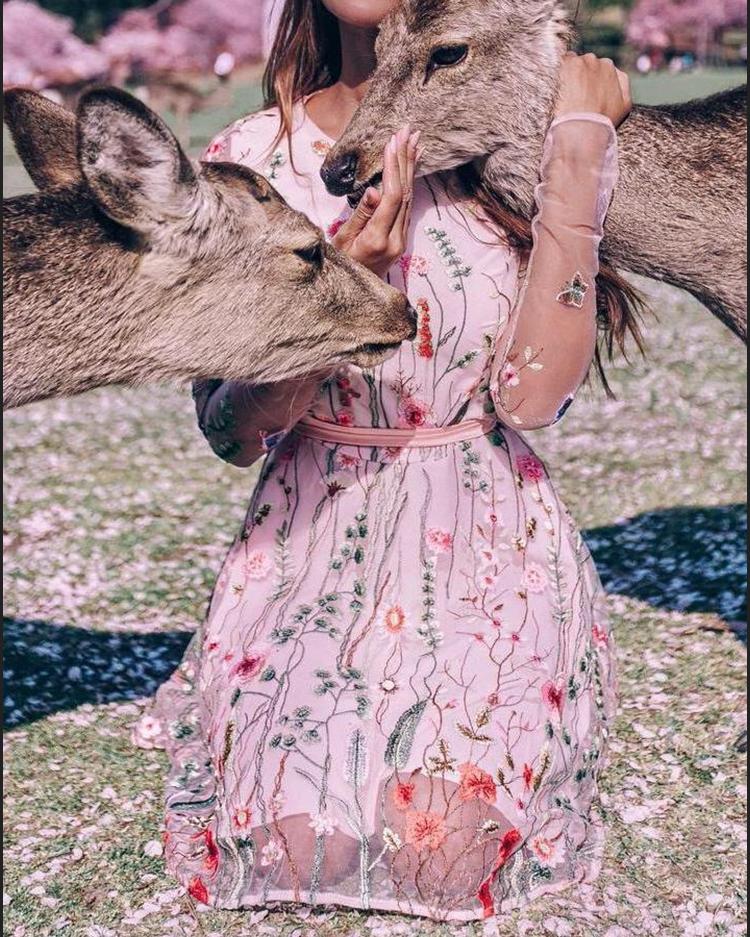

Floral Embroidery Mesh Sleeve Mini Dress, Pink