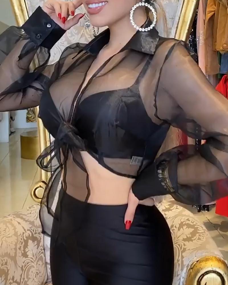 

Sheer Mesh Plain Long Sleeve Blouse, Black